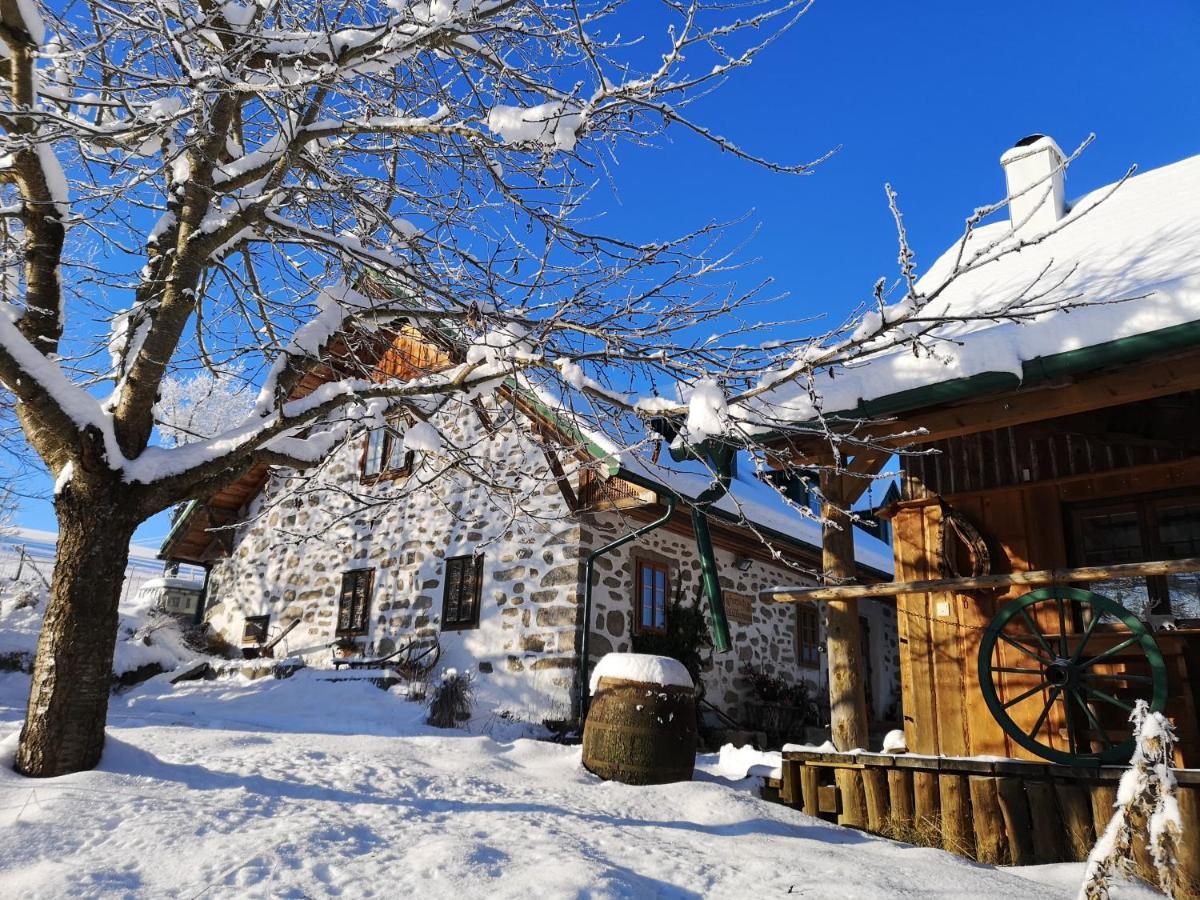 Ferienhaus Friedlhof Langschlag  المظهر الخارجي الصورة